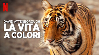 David Attenborough: la vita a colori (2021)