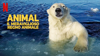 Animal: il meraviglioso regno animale (2022)