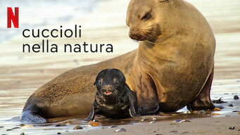 Cuccioli nella natura (2022)